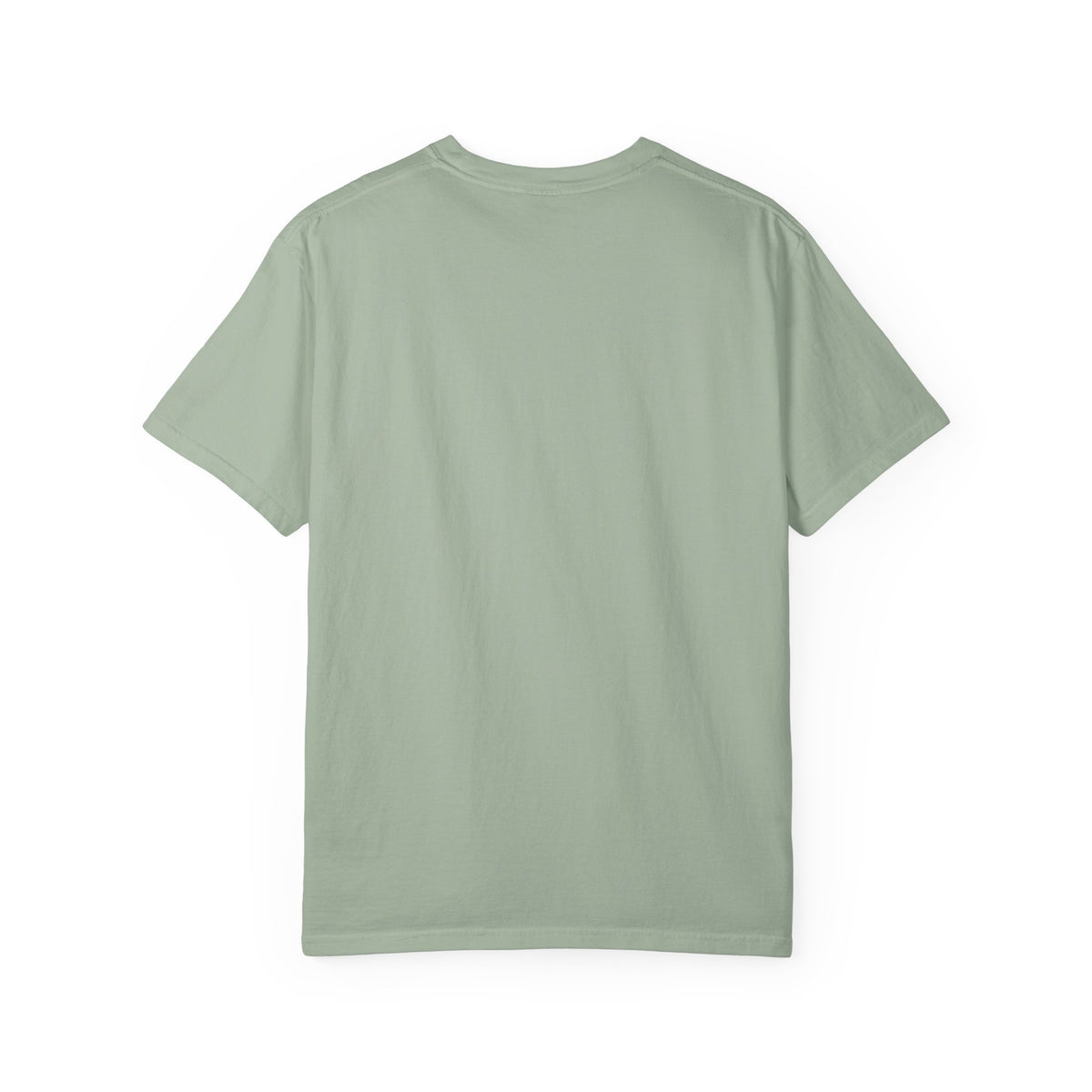 I’m a Safe Space, No Questions Asked T-Shirt
