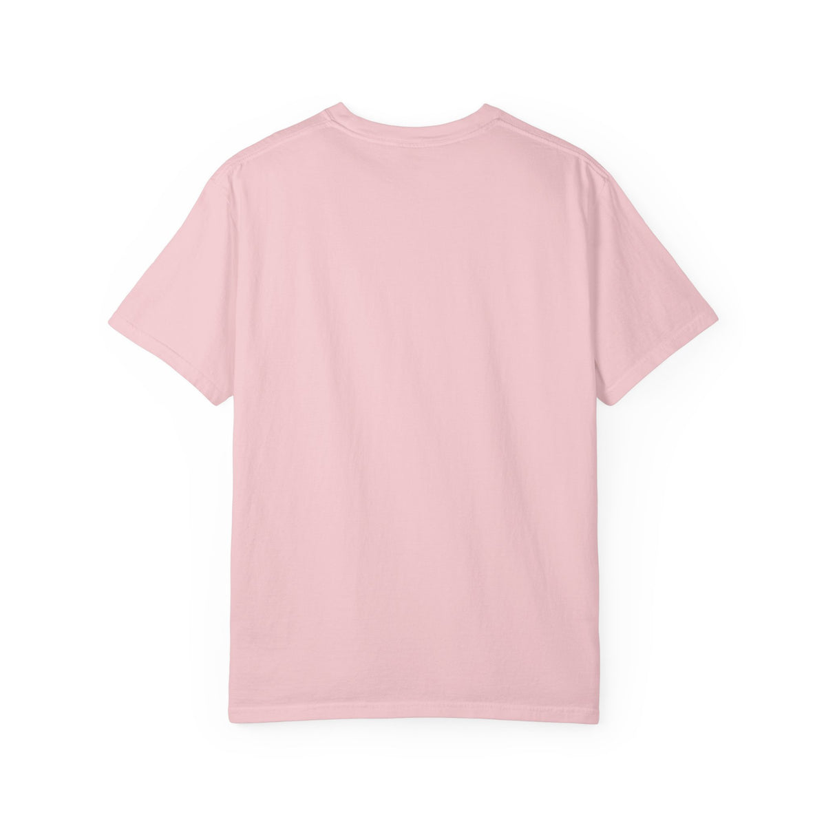 I’m a Safe Space, No Questions Asked T-Shirt