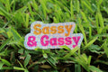 Sassy & Gassy Sticker