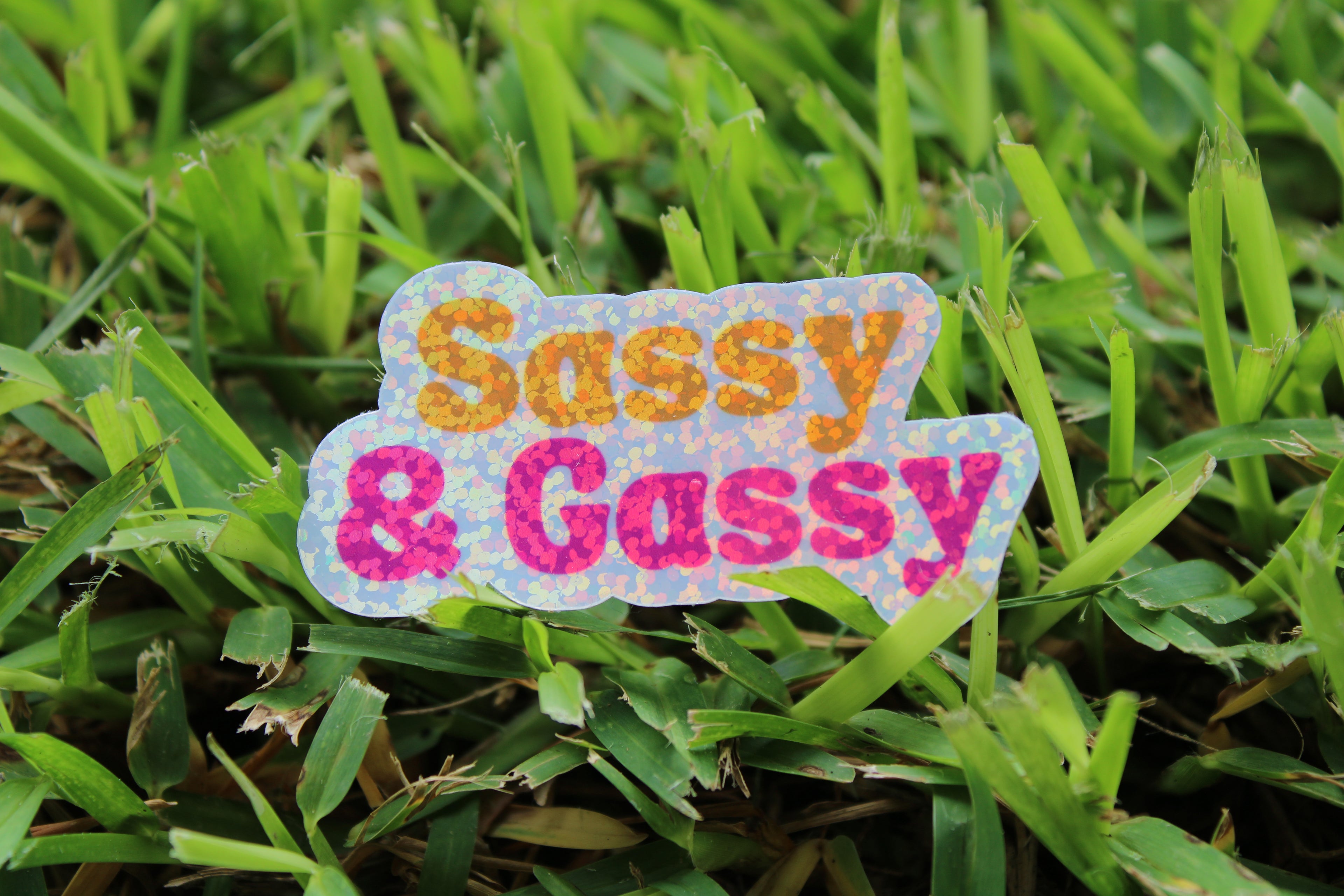 Sassy & Gassy Sticker